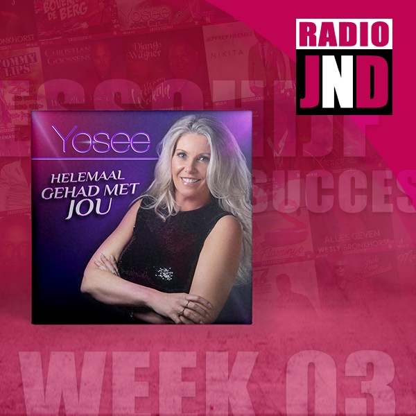 Successchijf — Yosee - Helemaal Gehad Met Jou