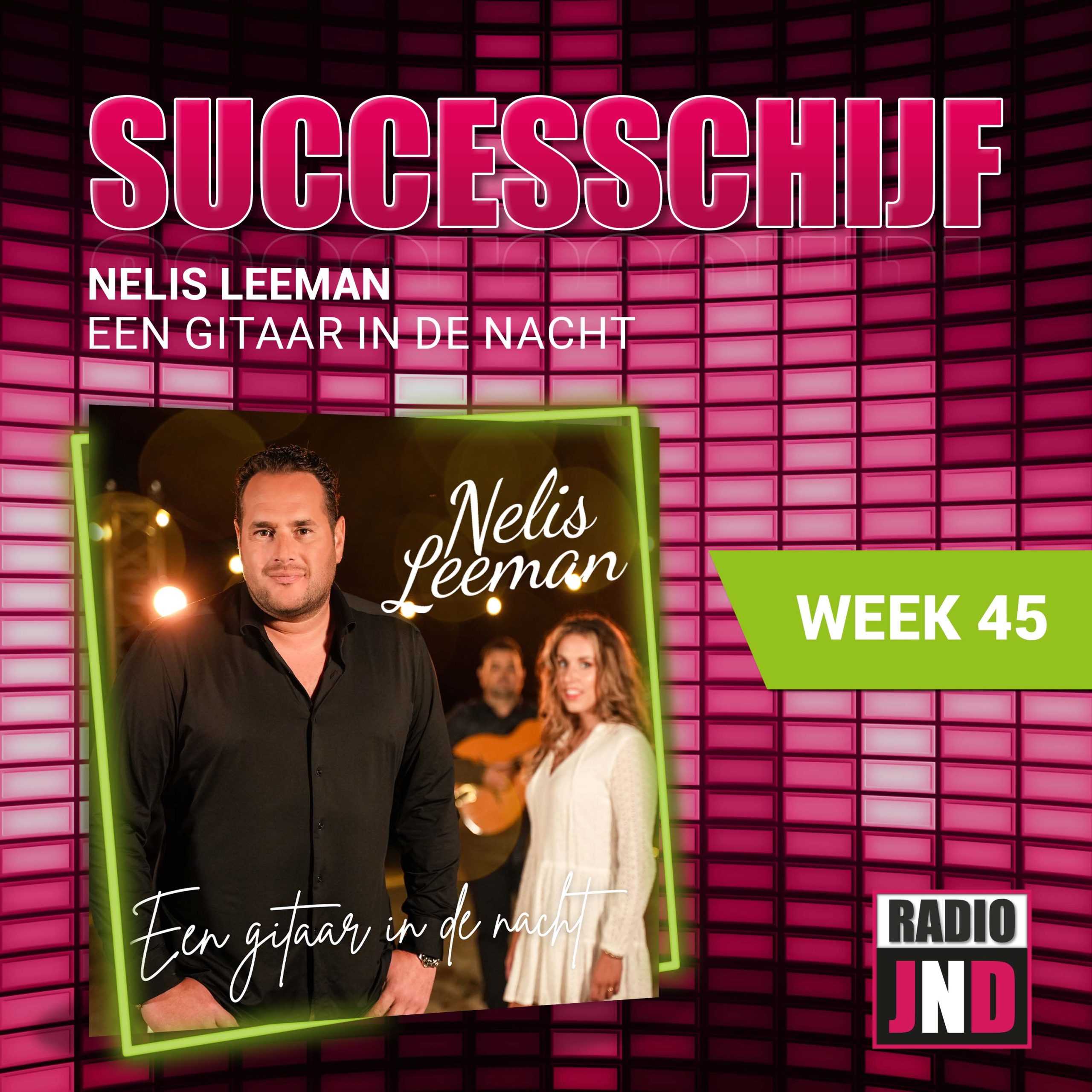 Illustratie bij: Nelis Leeman - Een Gitaar In De Nacht