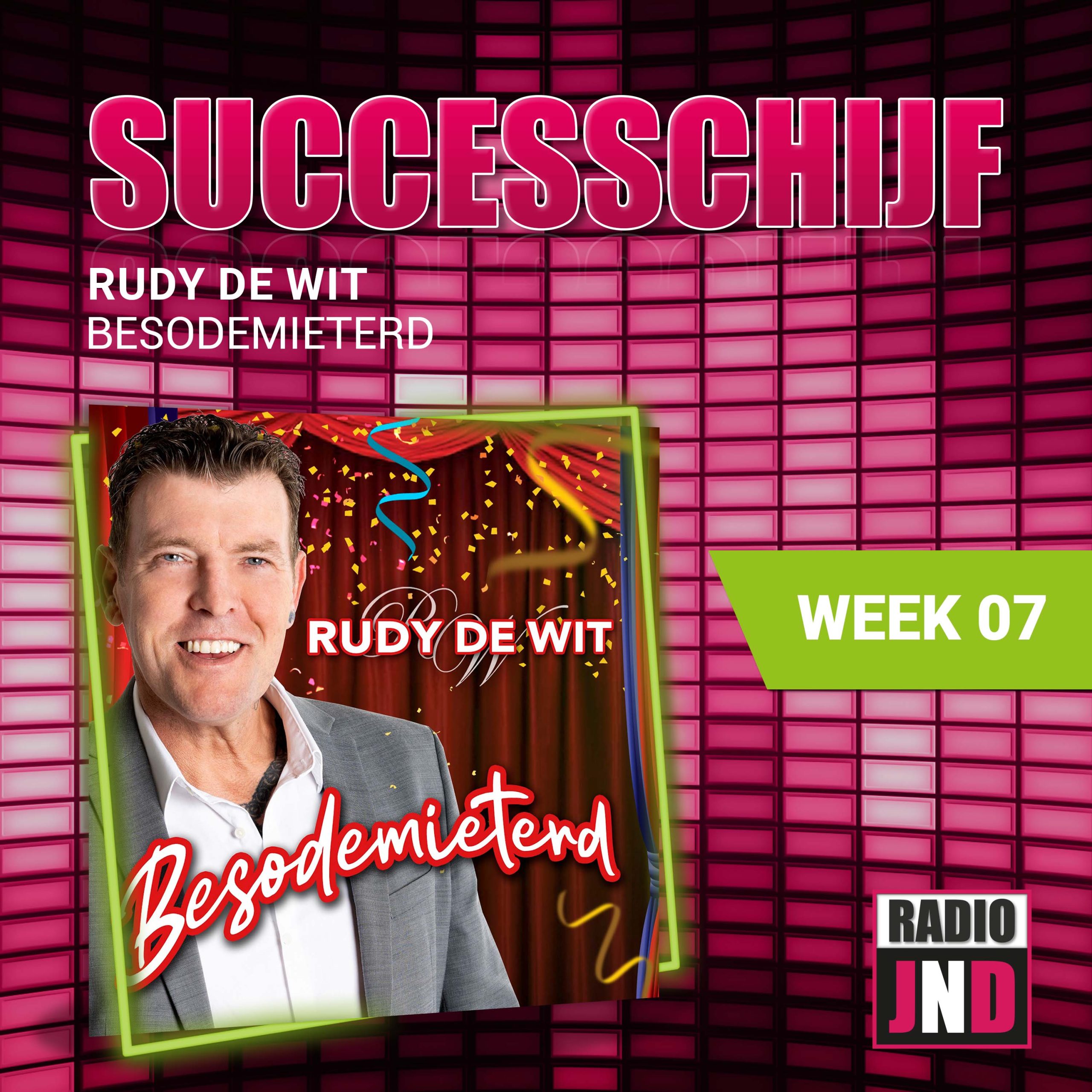 Successchijf — Rudy de Wit - Besodemieterd