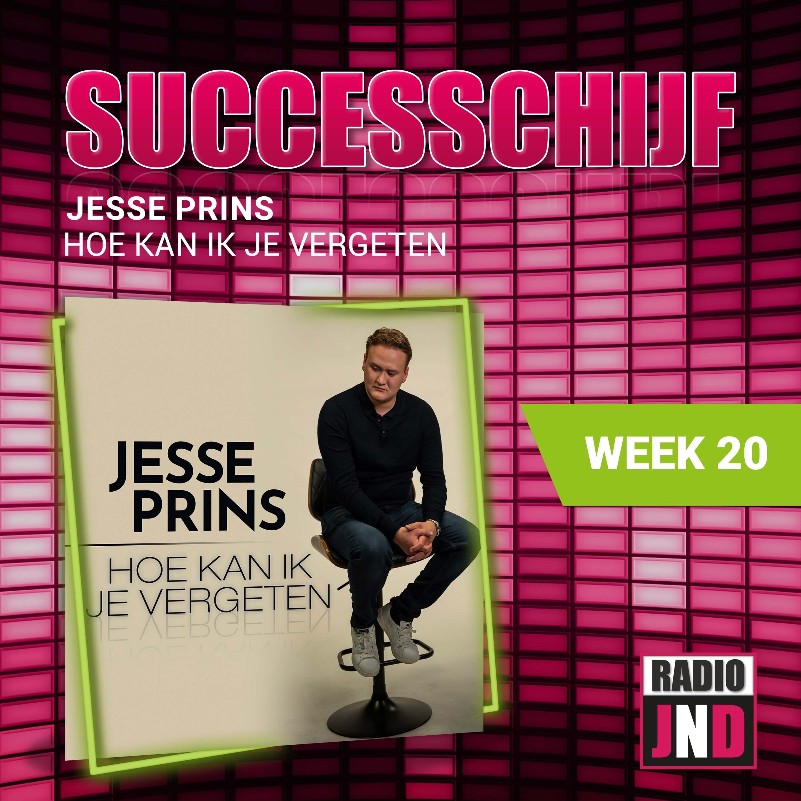 Illustratie bij: Jesse Prins - Hoe Kan Ik Je Vergeten