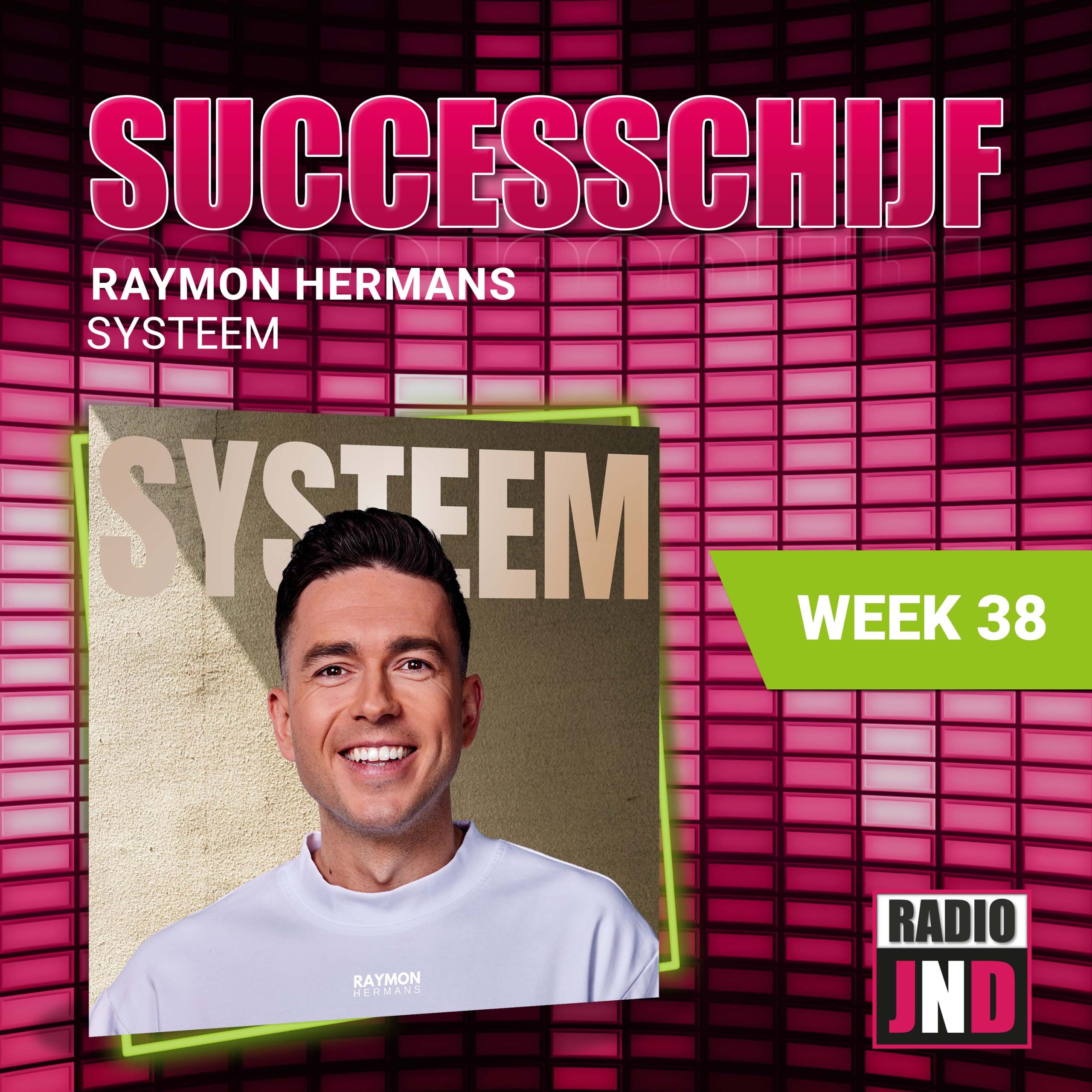 Illustratie bij: Raymon Hermans - Systeem