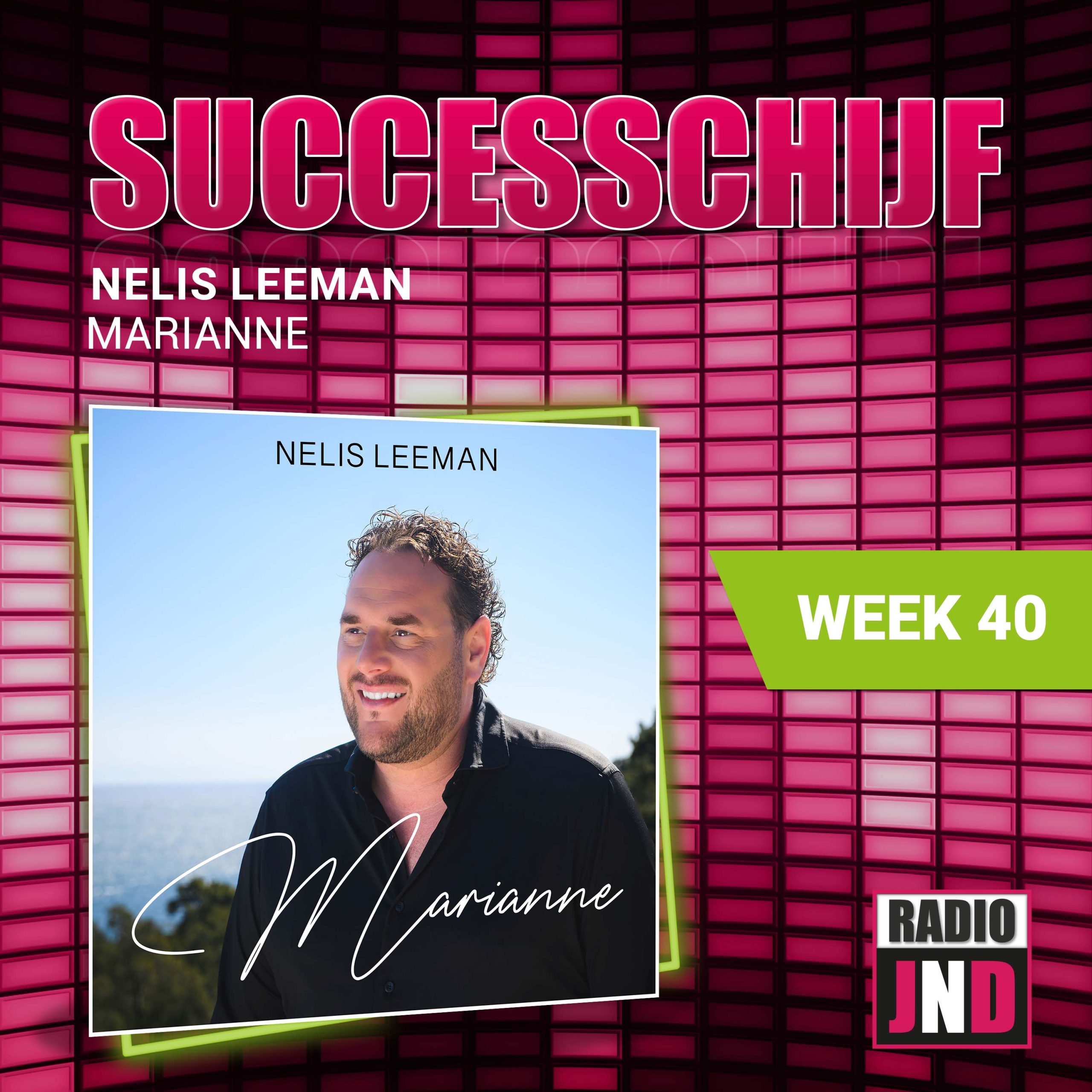 Illustratie bij: Nelis Leeman - Marianne