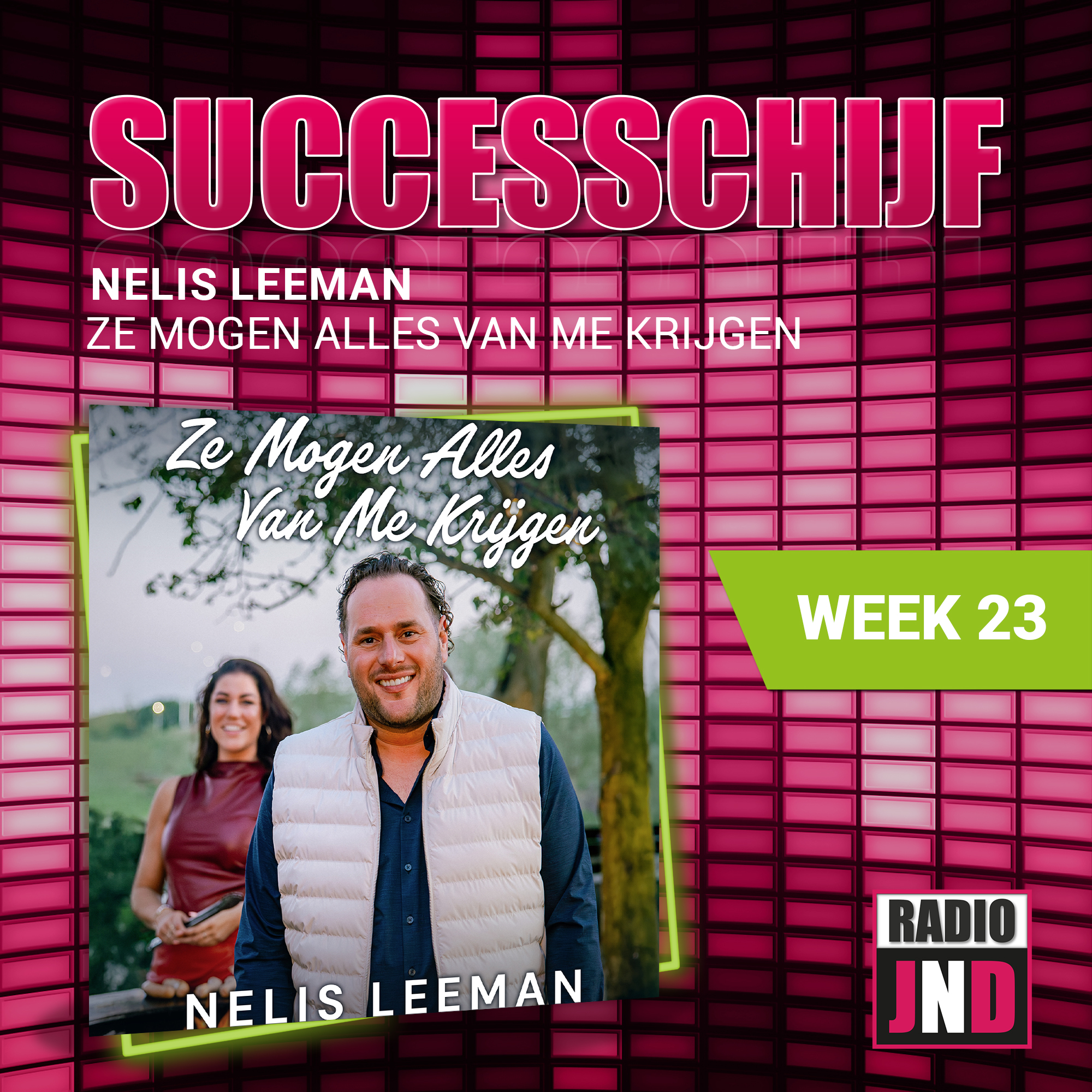 Illustratie bij: Nelis Leeman - Ze Mogen Alles Van Me Krijgen