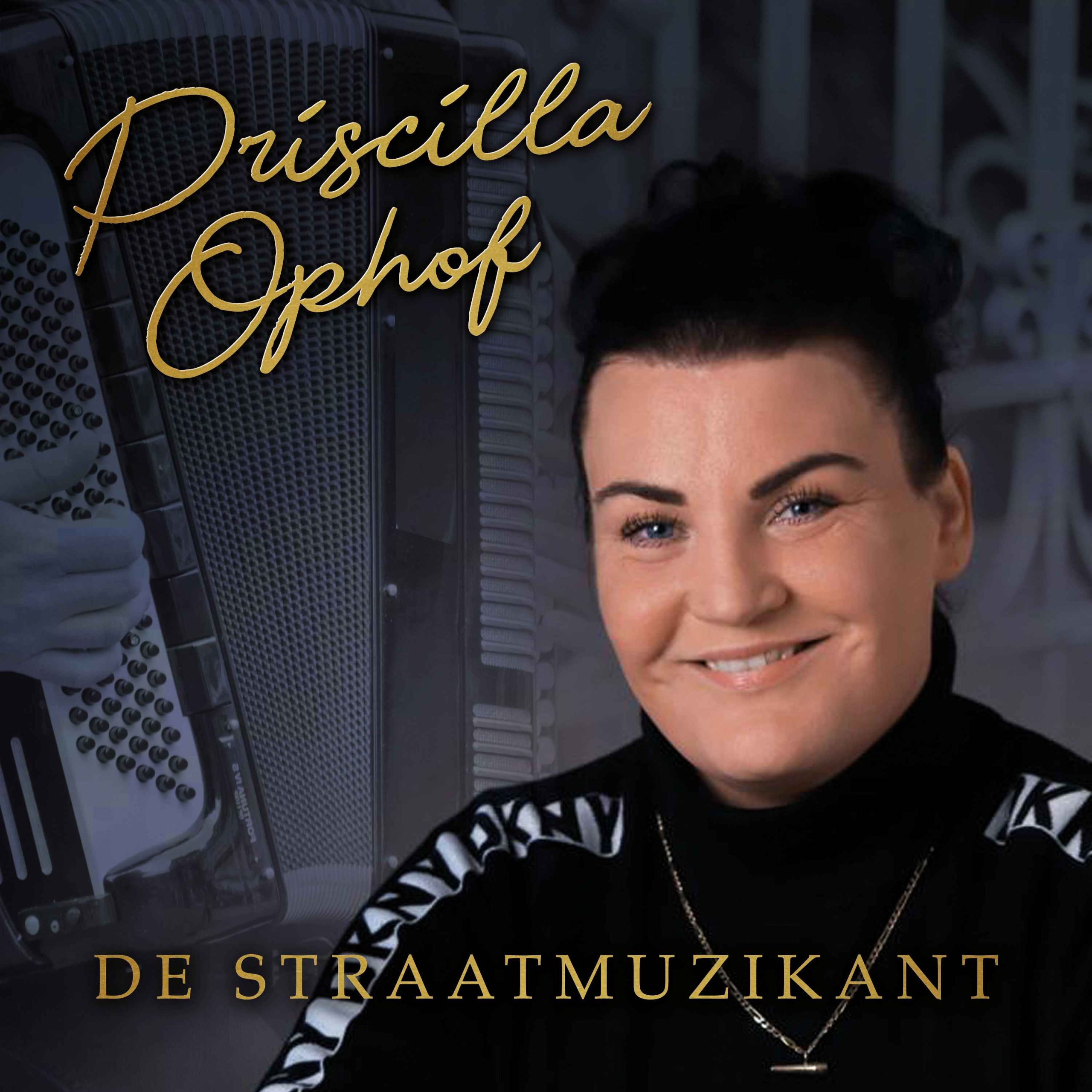 Illustratie bij: Priscilla Ophof - De Straatmuzikant