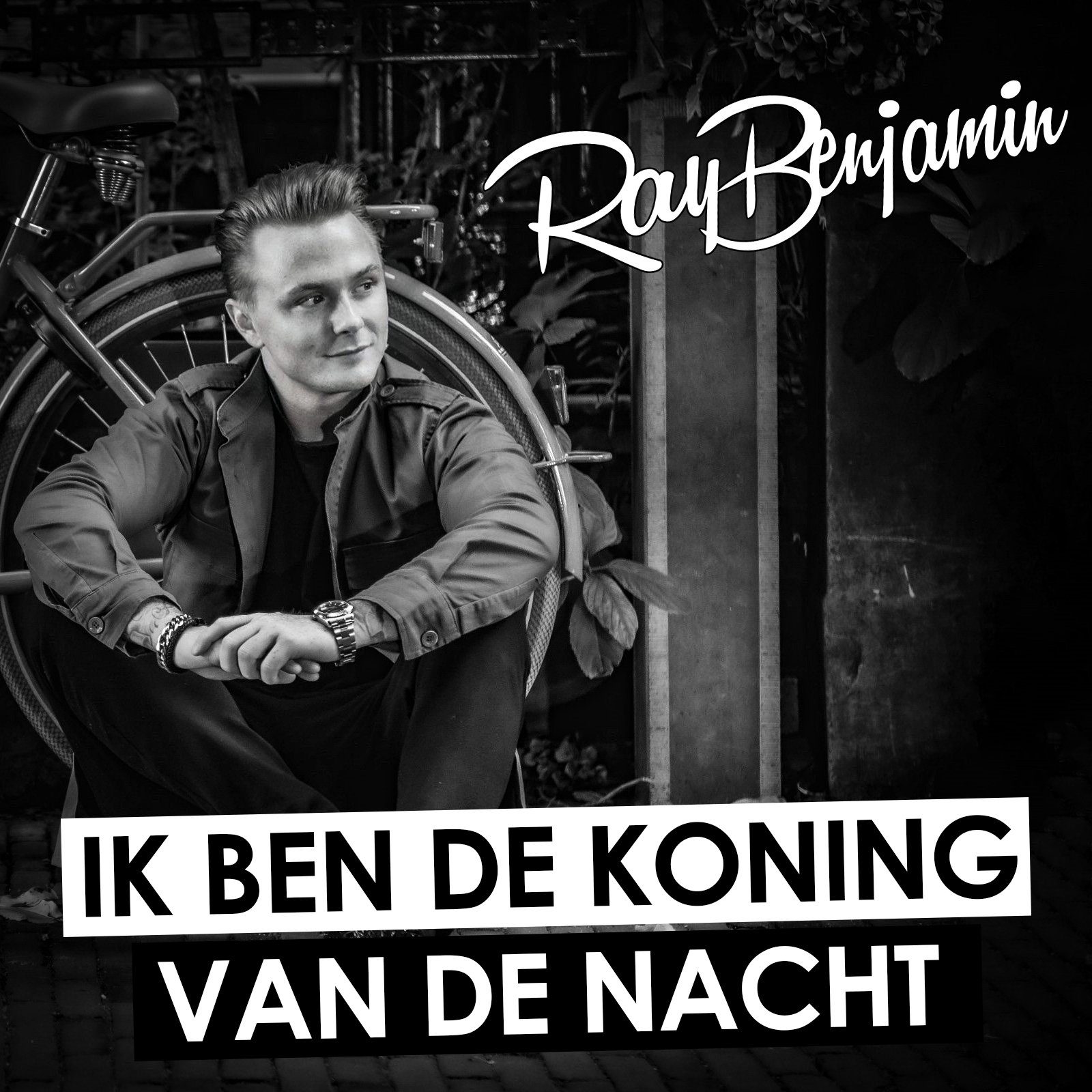 Illustratie bij: Ray Benjamin - Ik Ben De Koning Van De Nacht