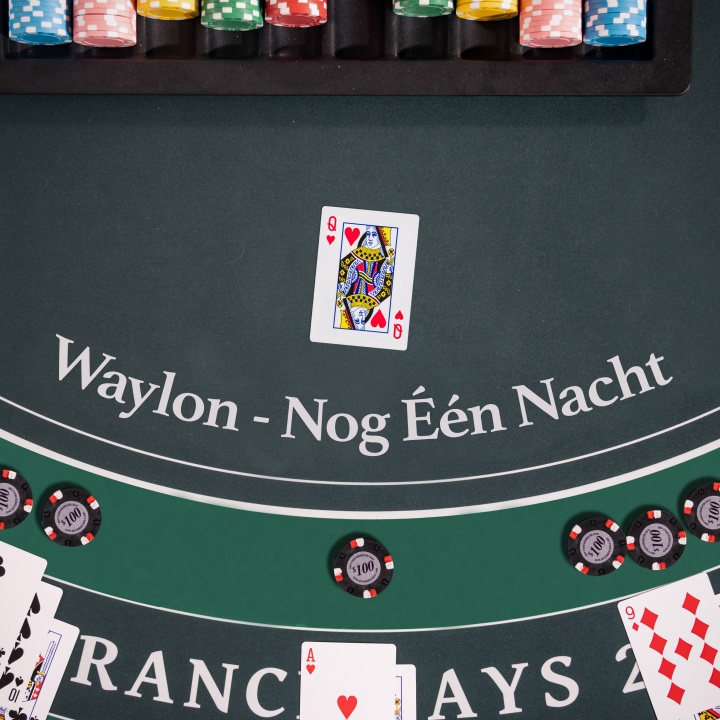 Illustratie bij: Waylon - Nog één Nacht