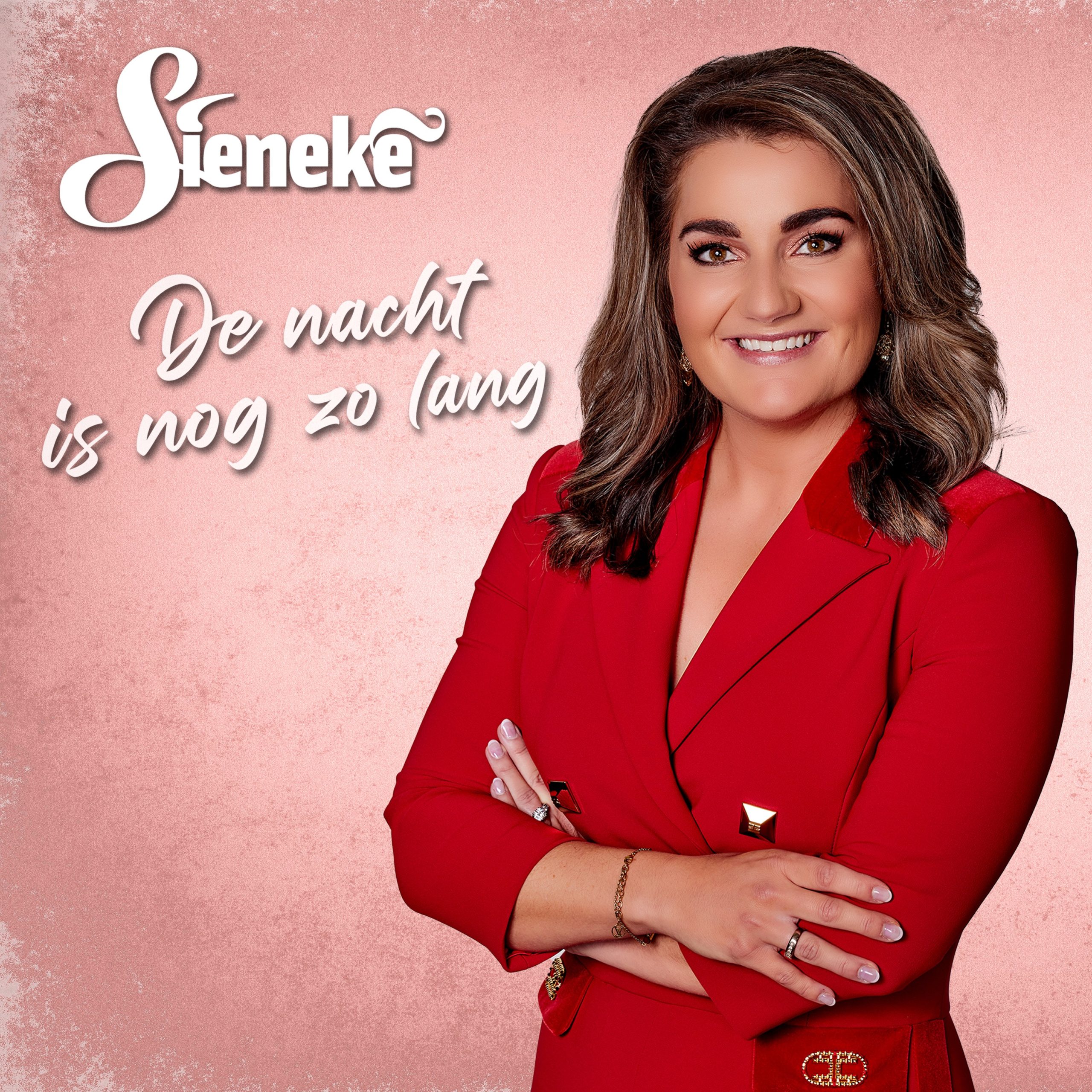 Illustratie bij: Sieneke - De Nacht Is Nog Zo Lang