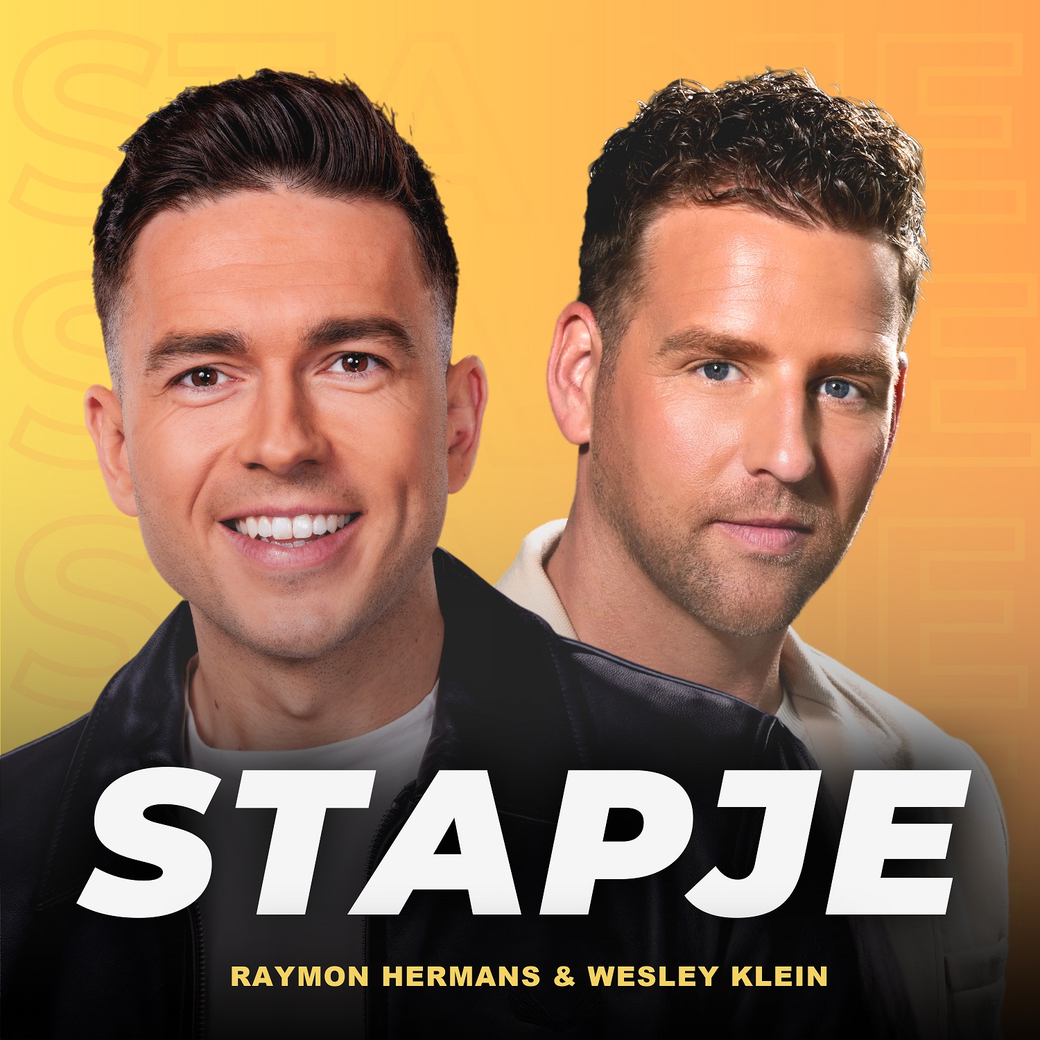 Illustratie bij: Raymon Hermans & Wesley Klein - Stapje