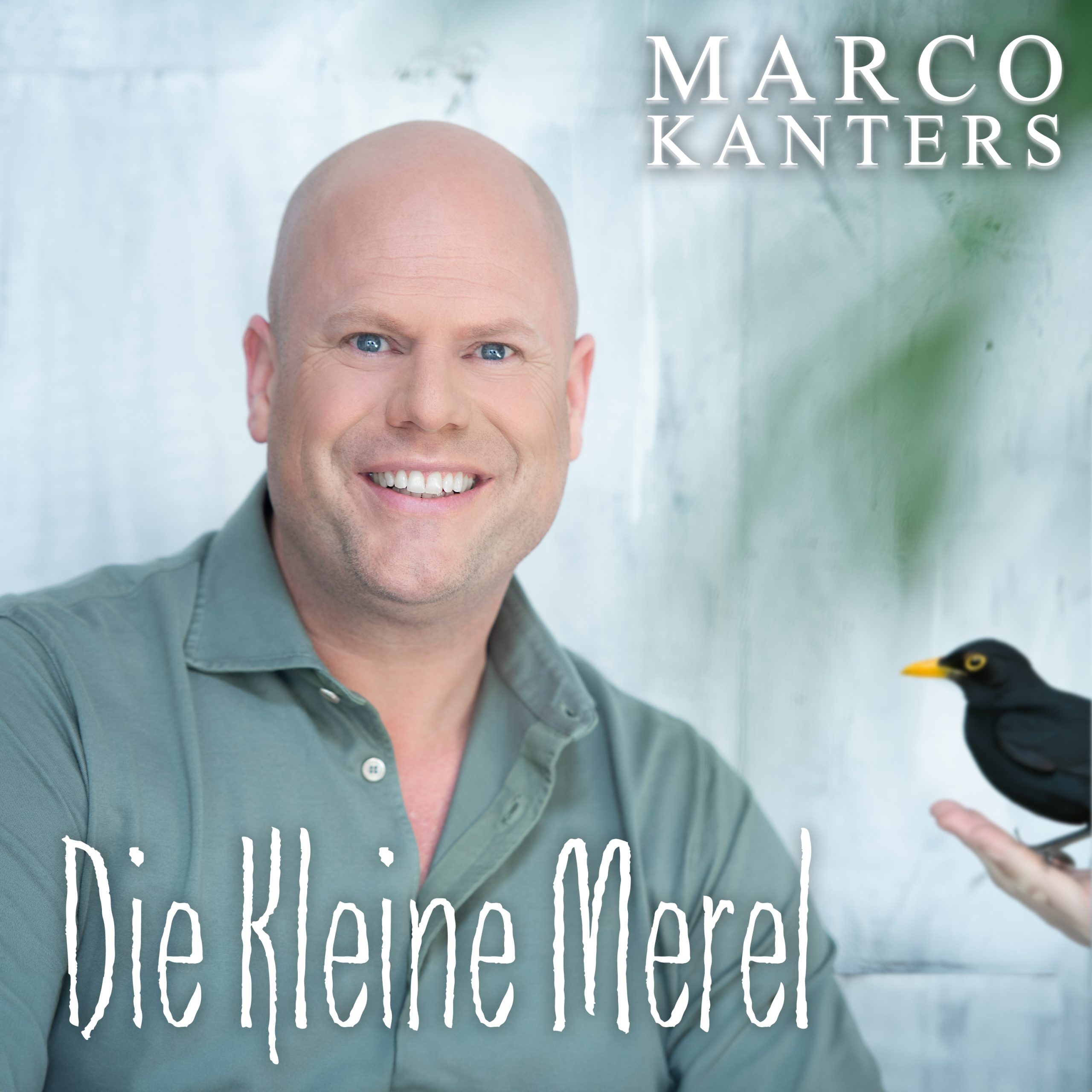 Illustratie bij: Marco Kanters - Die Kleine Merel