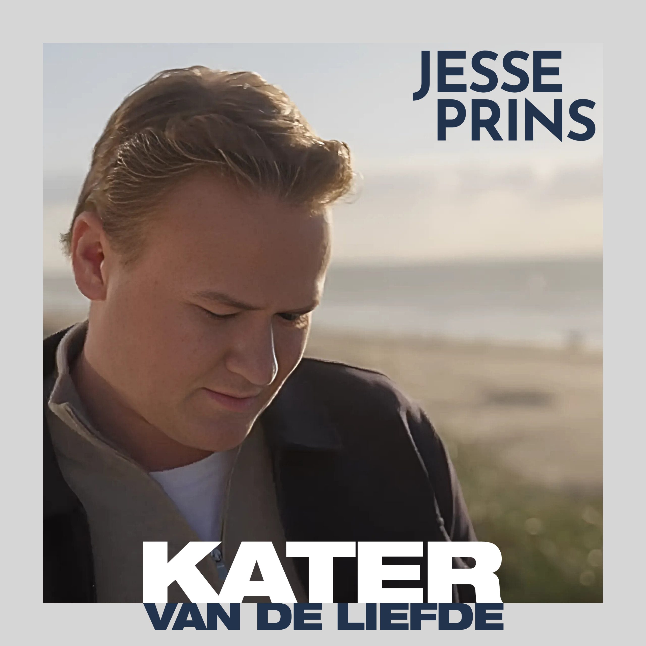 Illustratie bij: Jesse Prins - Kater Van De Liefde
