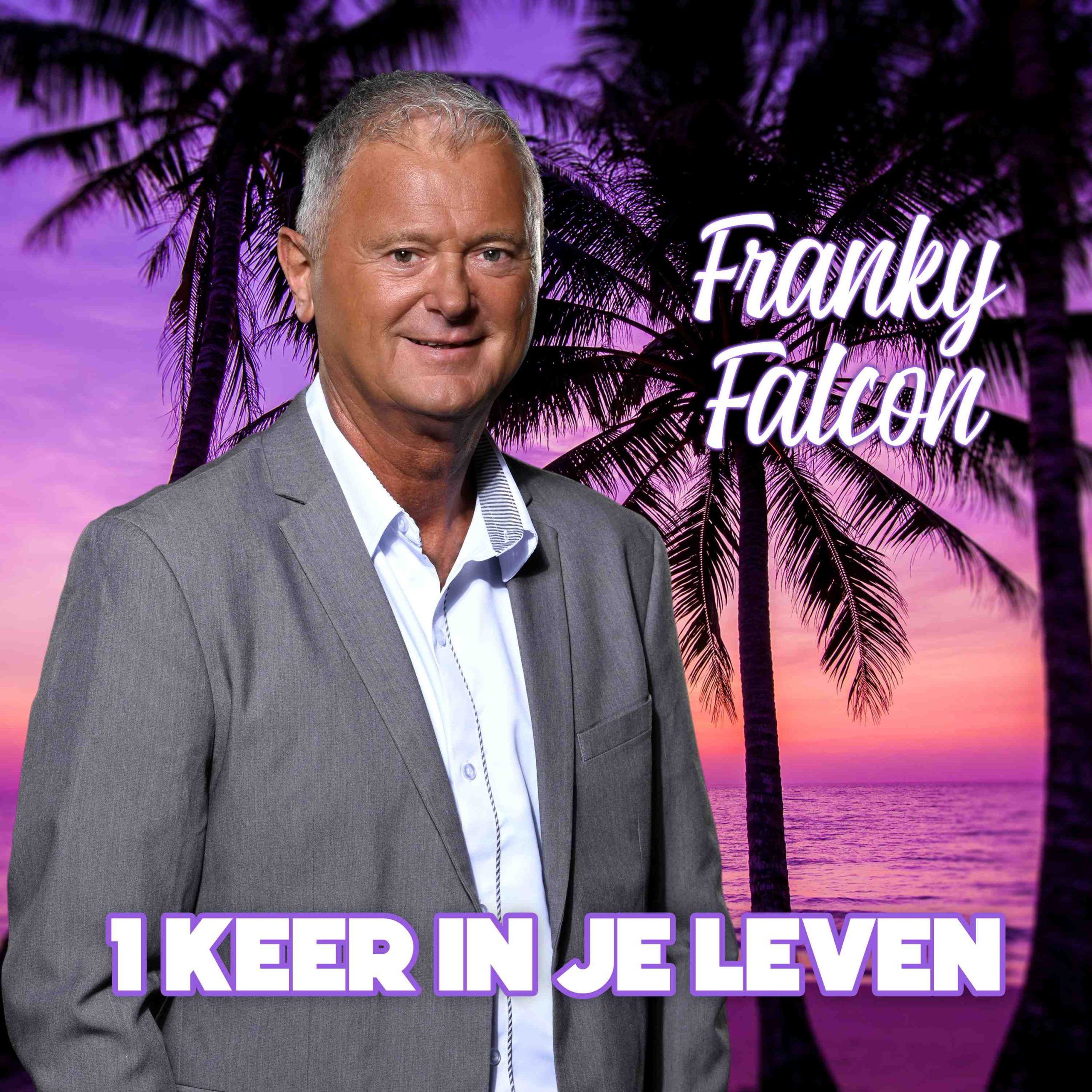Illustratie bij: Franky Falcon - 1 Keer In Je Leven