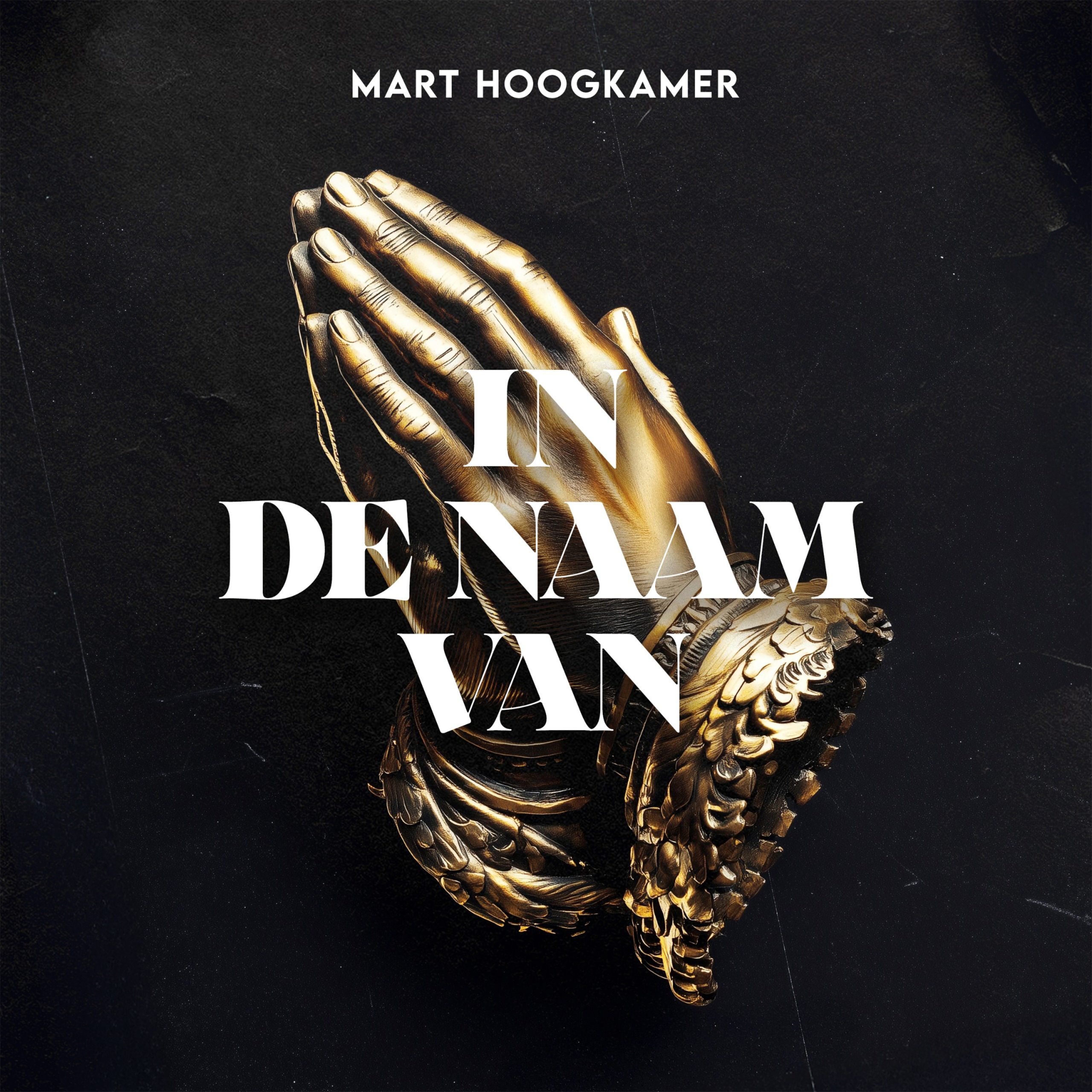 Illustratie bij: Mart Hoogkamer - In De Naam Van...