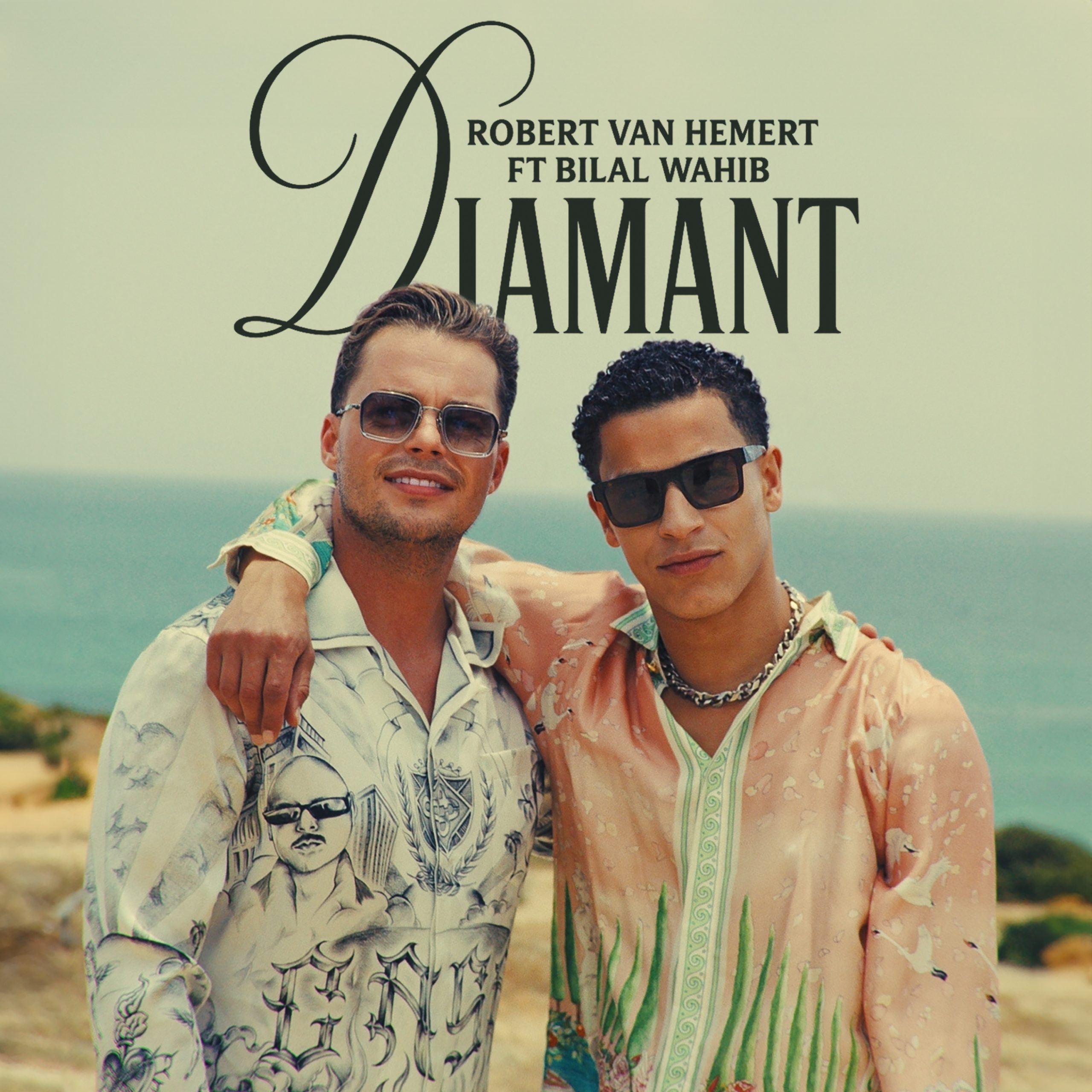 Illustratie bij: Robert van Hemert & Bilal Wahib - Diamant