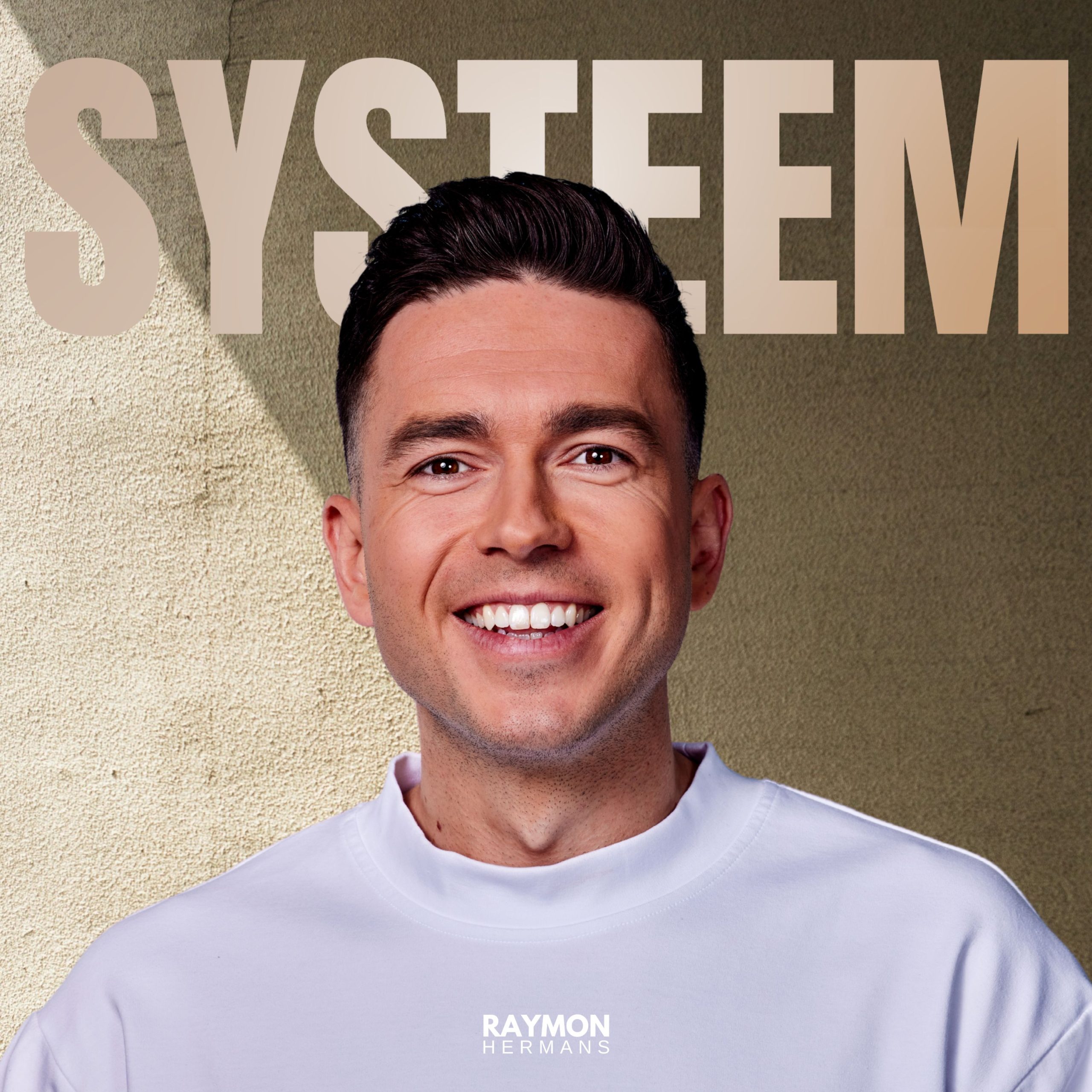 Illustratie bij: Raymon Hermans - Systeem