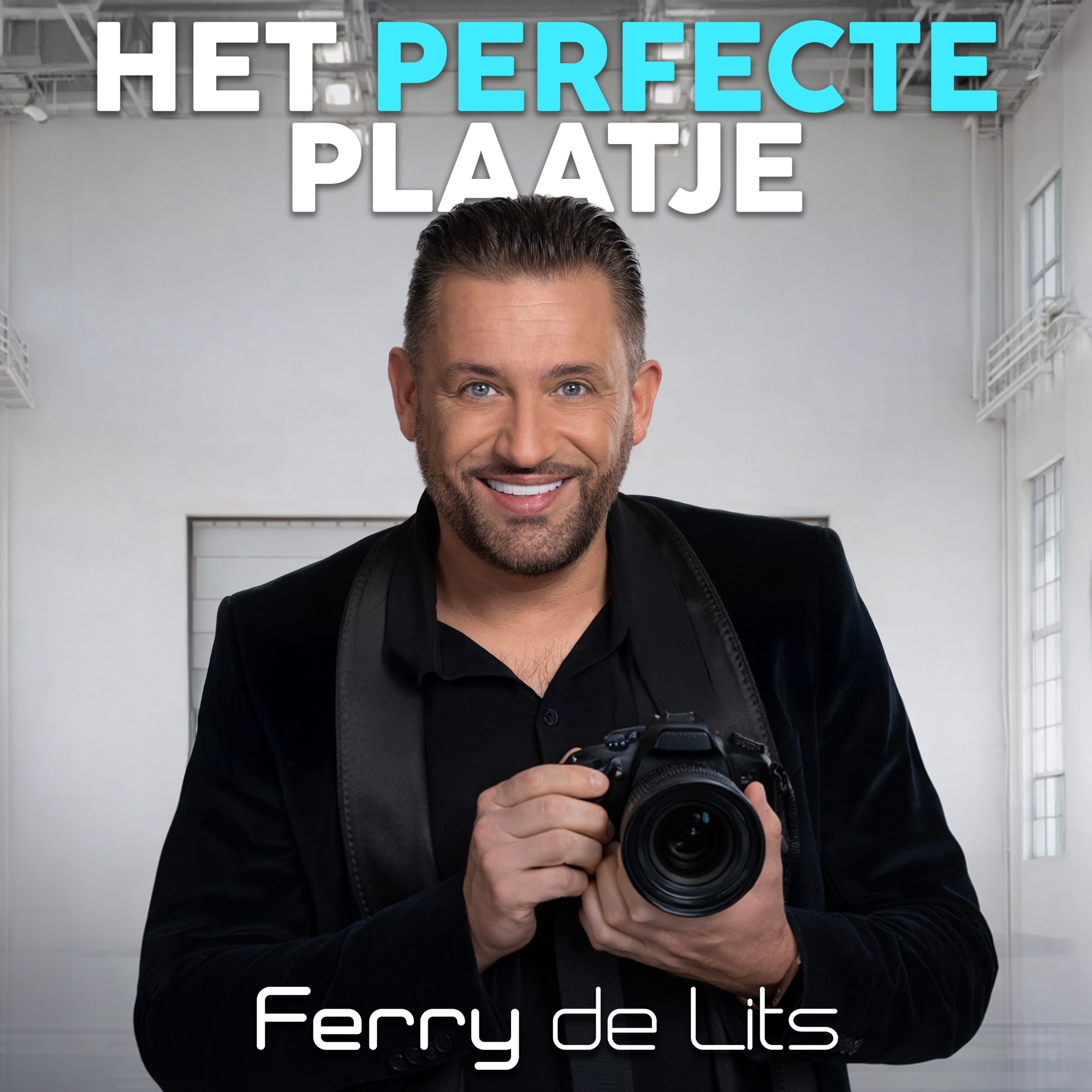 Illustratie bij: Ferry de Lits - Het Perfecte Plaatje