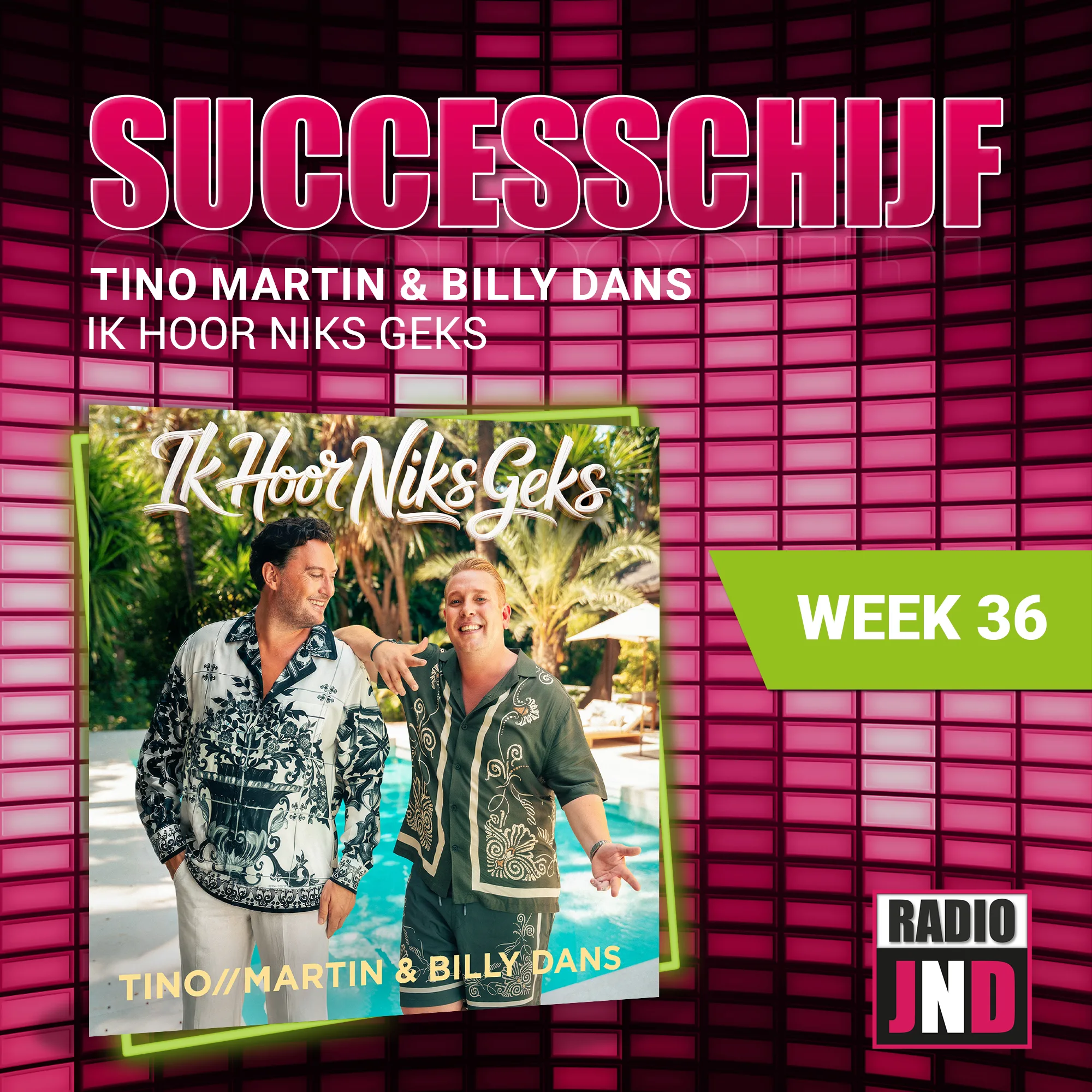 Illustratie bij: Ik Hoor Niks Geks